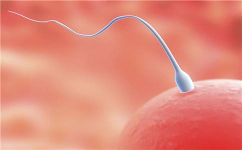 陈鎏主任